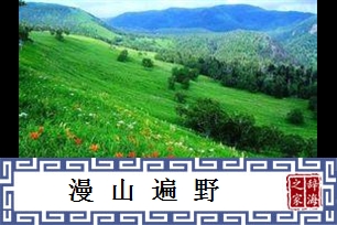 漫山遍野的意思、造句、近义词