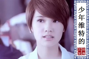 少年维特的烦恼