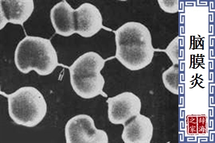 脑膜炎