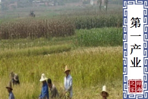 第一产业