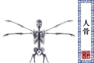 人骨