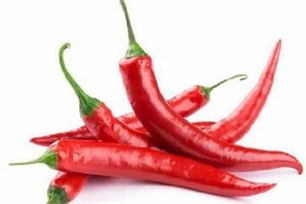 辣椒