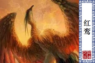 红鸾