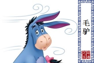 毛驴