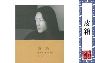 皮箱