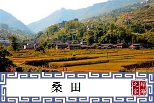 桑田的意思、造句、近义词