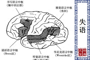 失语