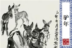 驴年