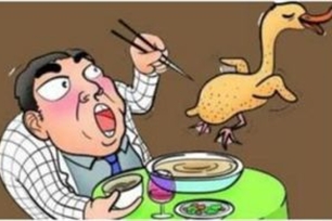 煮熟的鸭子飞了