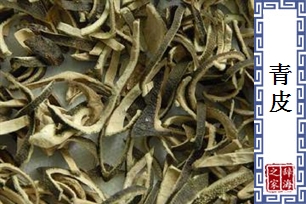 青皮