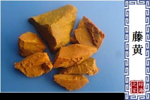 藤黄