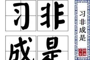 习非成是