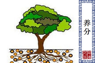 养分