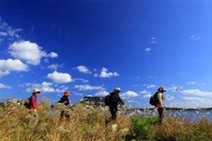 游历的意思、造句、近义词