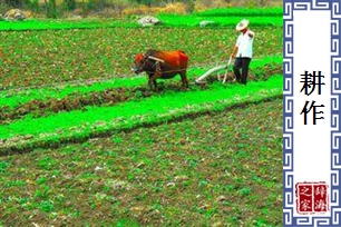 耕作的意思、造句、近义词