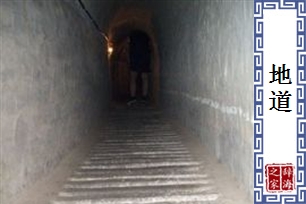 地道的意思、造句、近义词