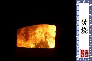 焚烧的意思、造句、近义词