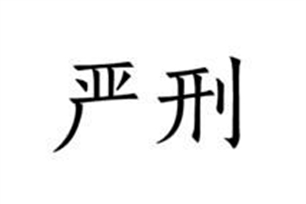 严刑的意思、造句、近义词