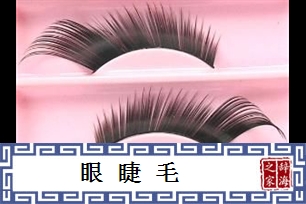 眼睫毛