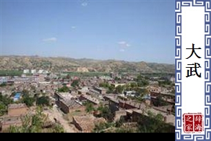 大武