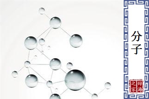 分子