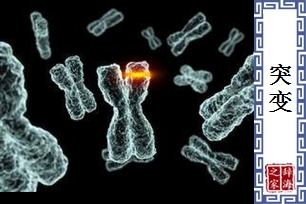 突变