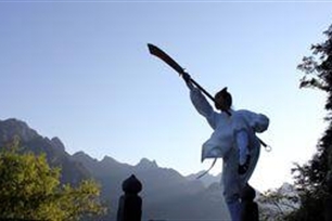 武术的意思、造句、近义词