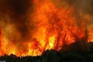 肆虐的意思、造句、近义词