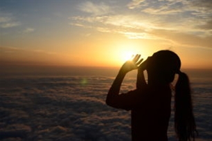 心情的意思、造句、近义词