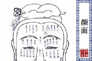 颜面