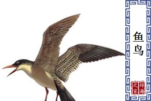 鱼鸟