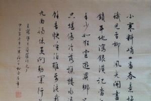 元老的意思、造句、反义词