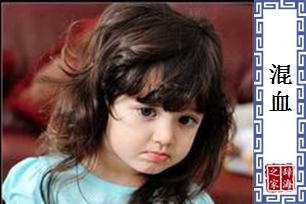 混血的意思、造句、反义词