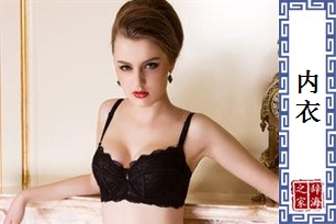 内衣的意思、造句、近义词