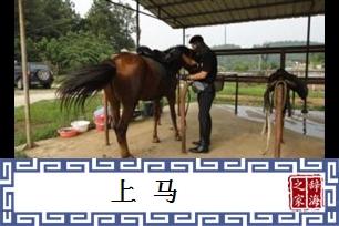 上马的意思、造句、反义词