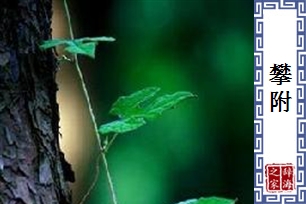 攀附的意思、造句、近义词