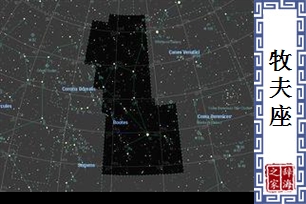 牧夫座