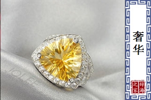 奢华的意思、造句、近义词