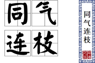 同气连枝