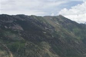 山谷的意思、造句、反义词