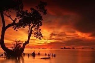 下午的意思、造句、近义词