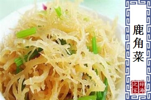 鹿角菜