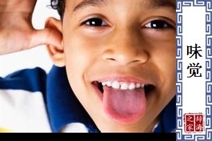 味觉