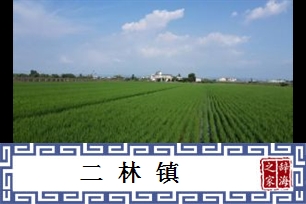二林镇