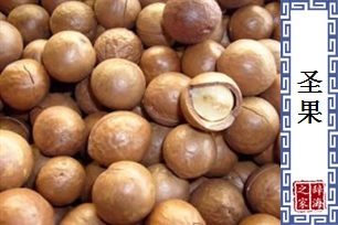 圣果