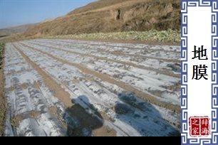 地膜