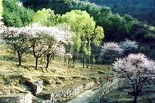侯兆川