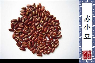 赤小豆