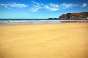 沙滩的意思、造句、近义词