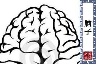 脑子
